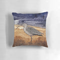 Photograph of a curlew bird in a natural landscape