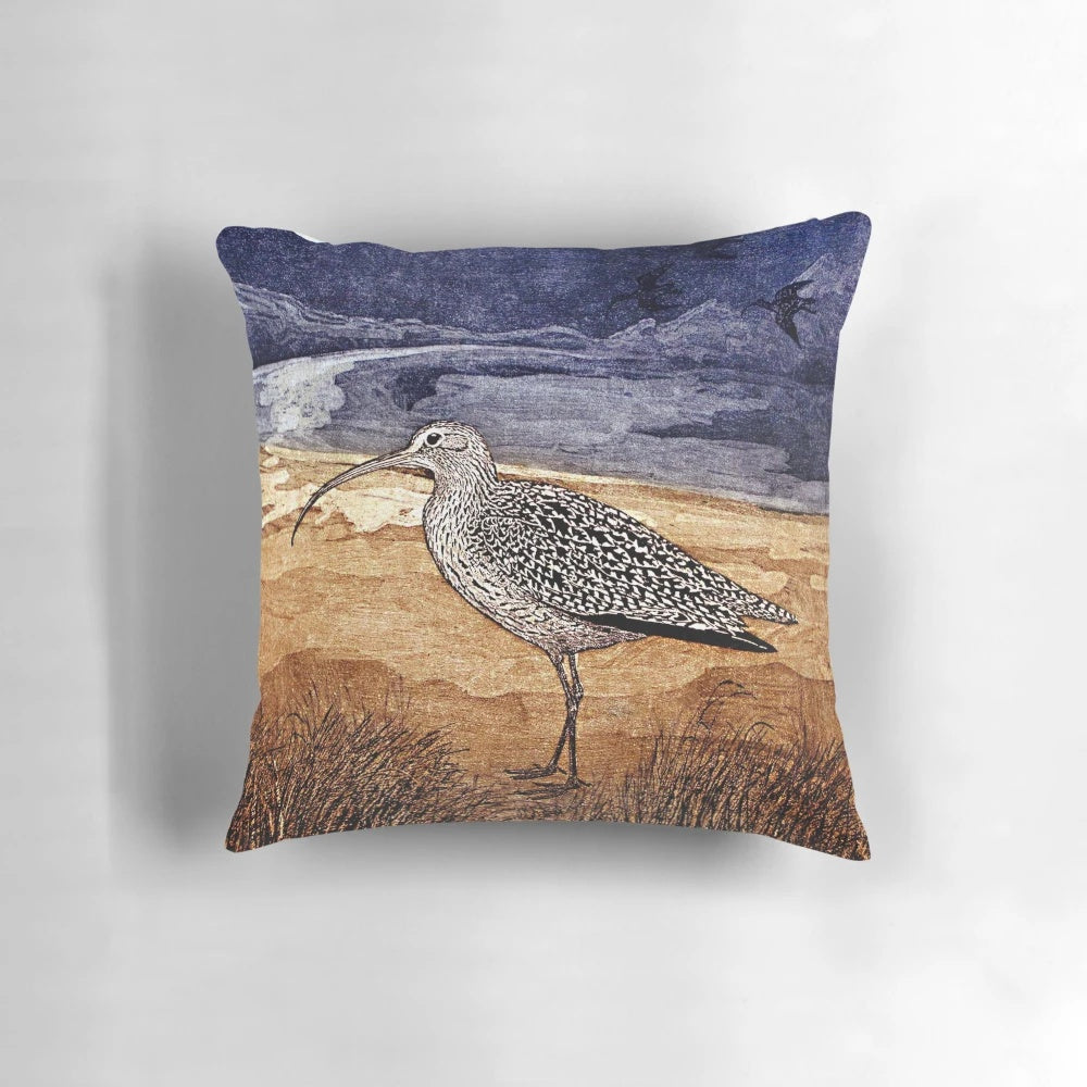 Photograph of a curlew bird in a natural landscape