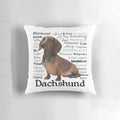 Dachshund Pillow Showcasing the Breed's Unique Personality