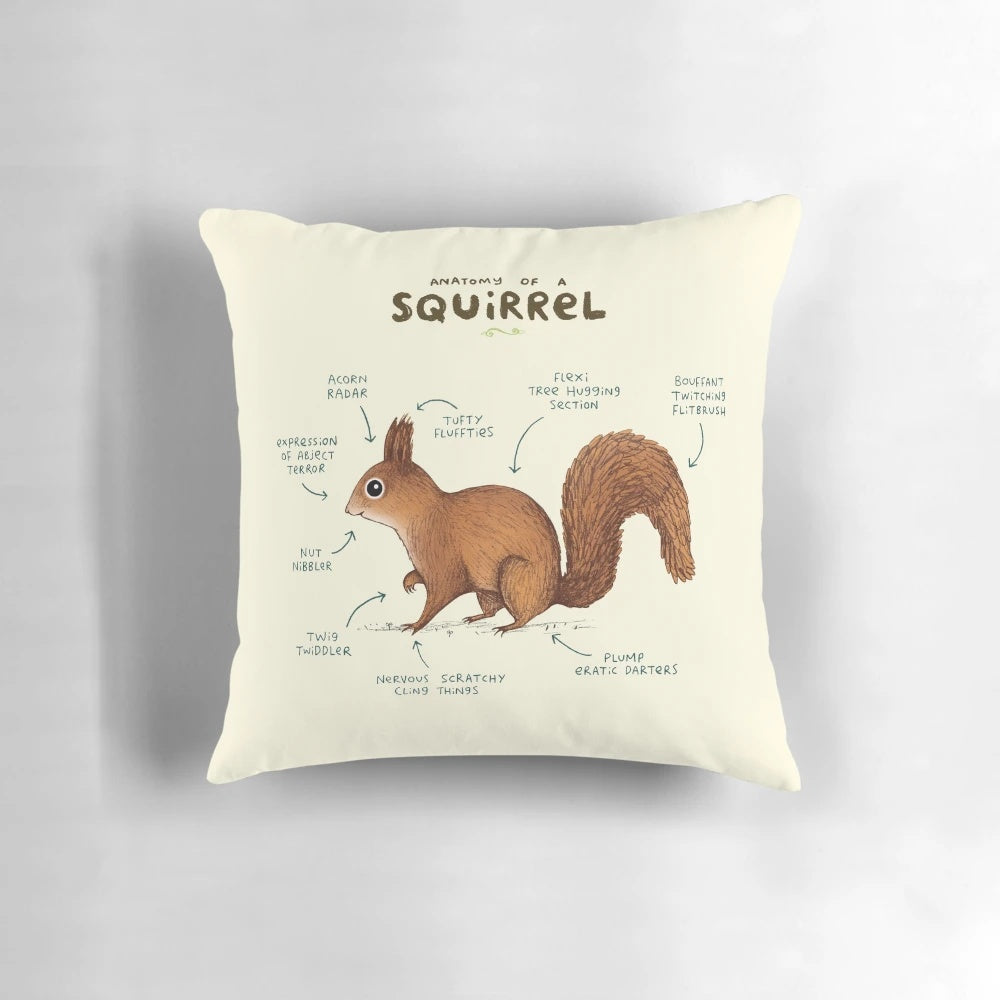 Detailed illustration showcasing the intricate anatomy of a red squirrel