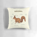Detailed illustration showcasing the intricate anatomy of a red squirrel