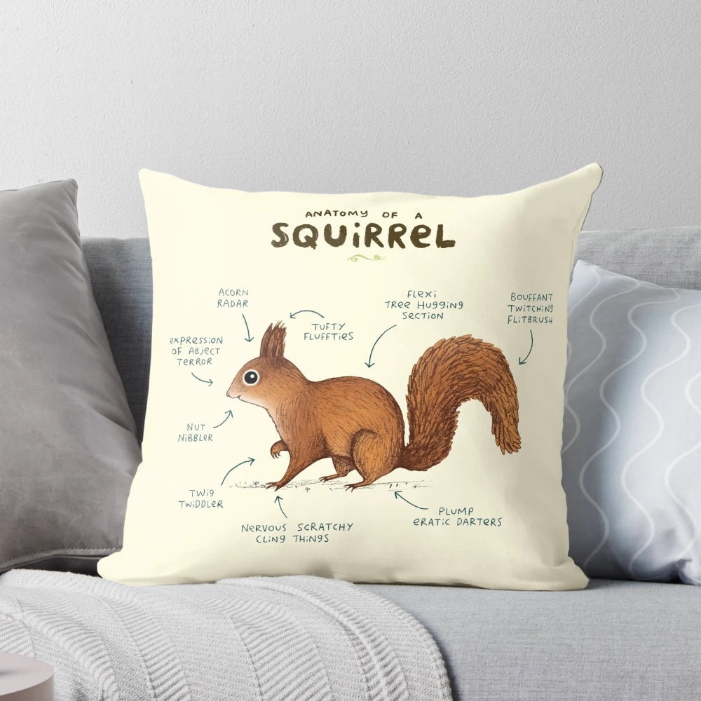 Detailed illustration showcasing the intricate anatomy of a red squirrel