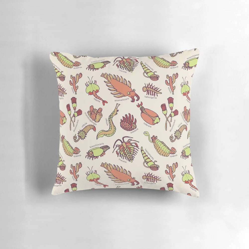 Colorful throw pillow featuring an infographic-style illustration of various Cambrian period invertebrate fossils