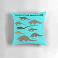 Pangolin pillow - Learn about the unique species of pangolins
