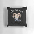 I'm Not Lost, Just Temporarily Misplaced" Funny Pillow - Unique, Whimsical Home Decor for Wanderers