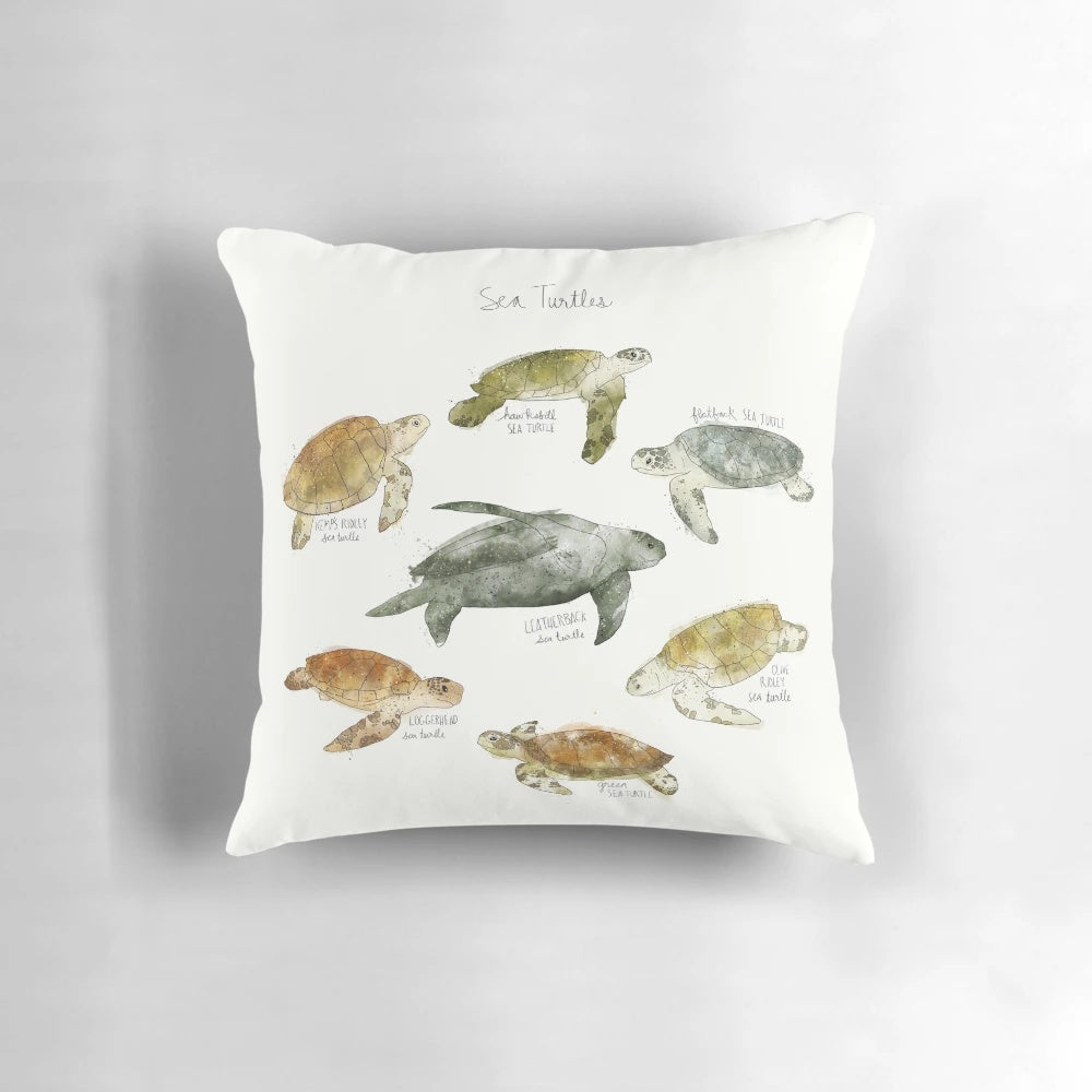 An educational pillow featuring a colorful chart of different species of sea turtles