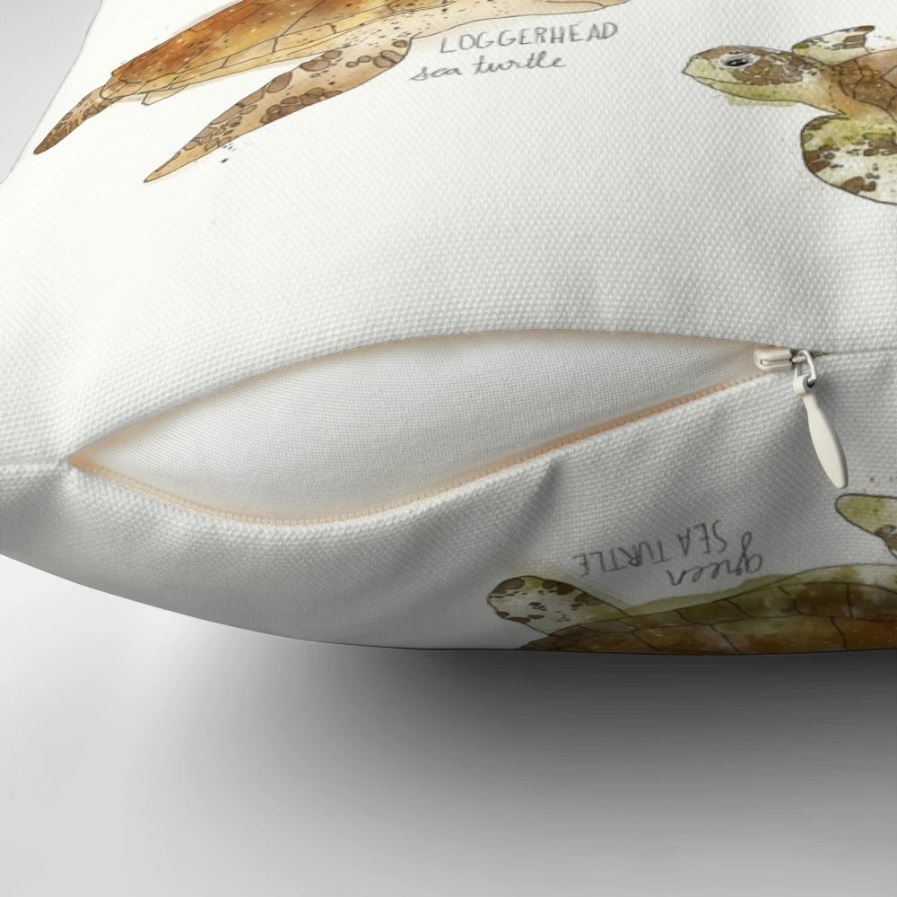 An educational pillow featuring a colorful chart of different species of sea turtles