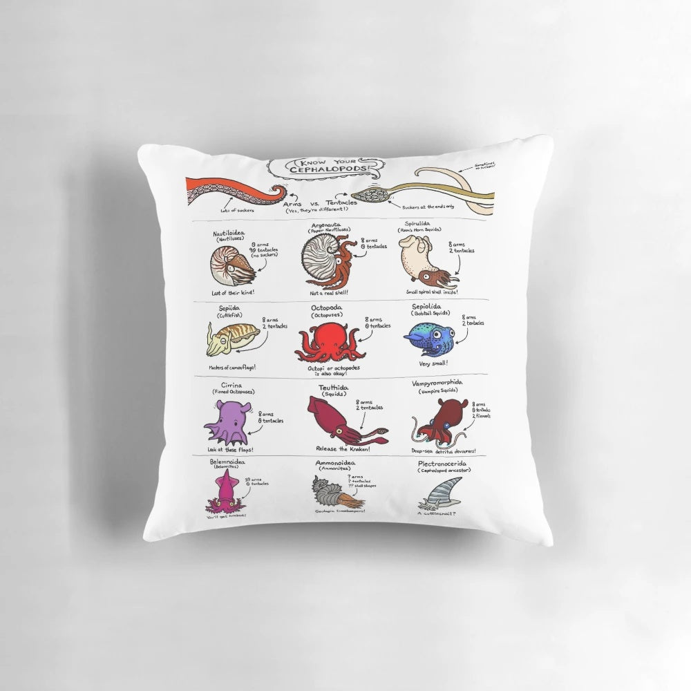 Colorful illustration of various cephalopod species on a decorative throw pillow