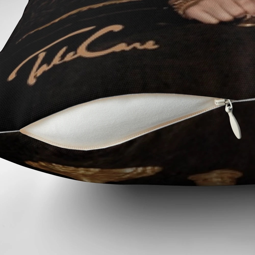 Drake "Take Care" Plush Pillow, a soft and comfortable music merchandise item featuring the album artwork
