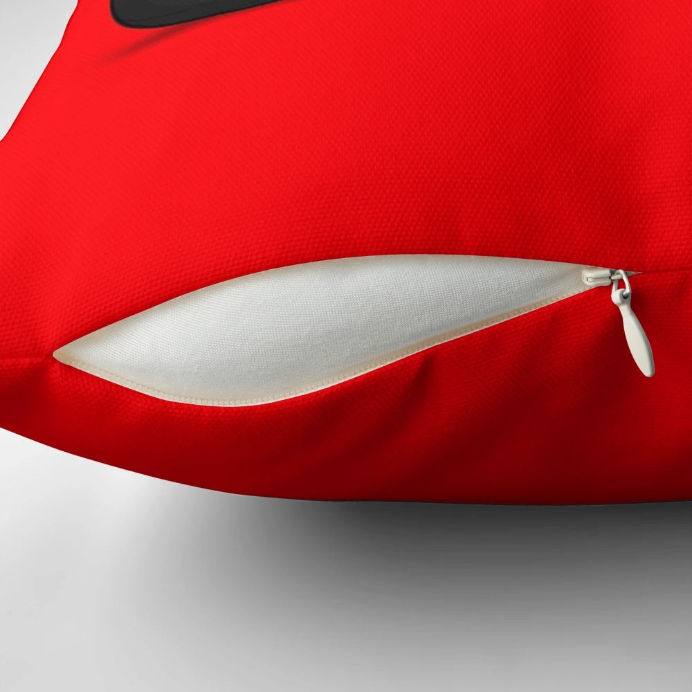 Ducati Panigale V4R motorcycle-themed decorative pillow with bold colors and design