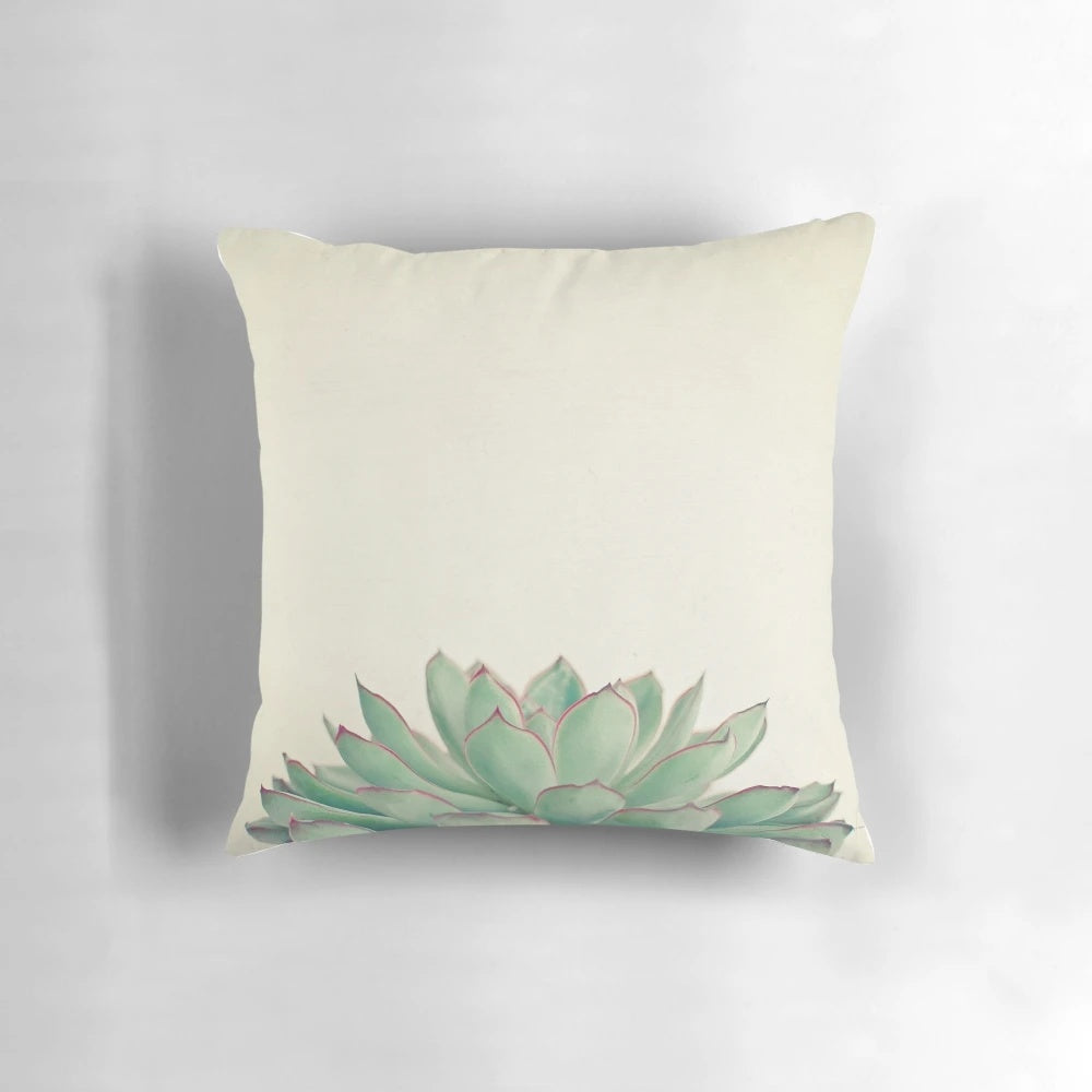 Echeveria succulent plant in a minimal, sage green and purple pillow design