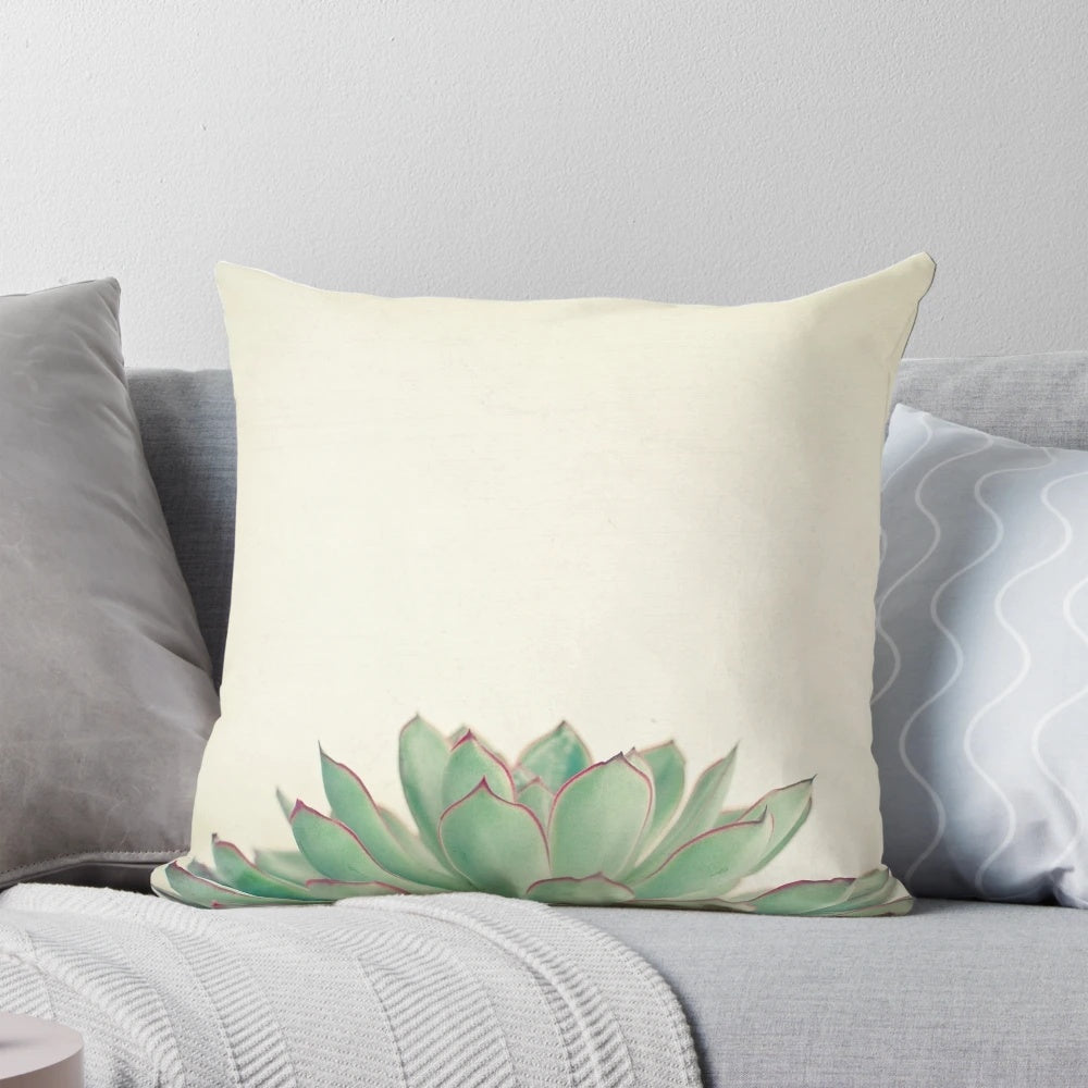 Echeveria succulent plant in a minimal, sage green and purple pillow design
