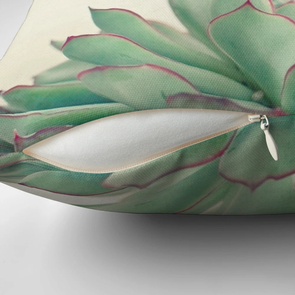 Echeveria succulent plant in a minimal, sage green and purple pillow design