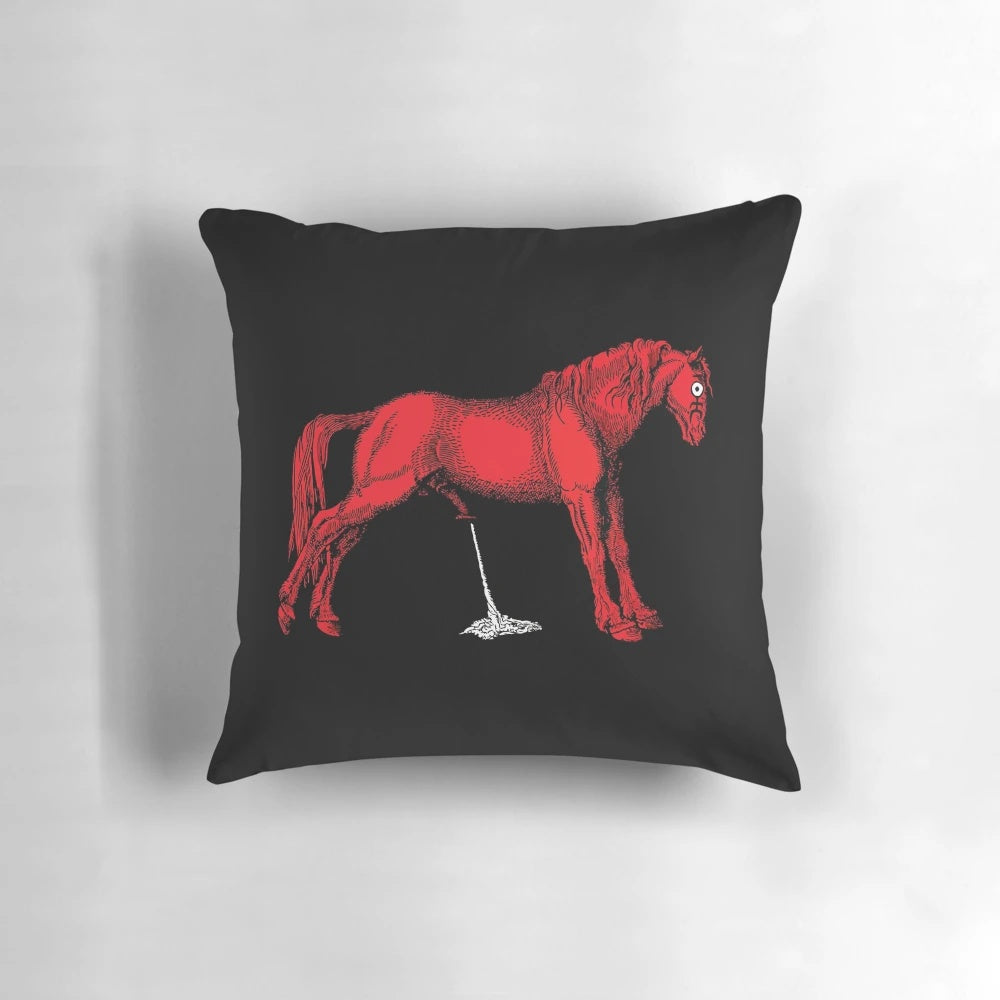 Unique and striking pillow featuring the album cover art for Einstürzende Neubauten's "Haus der Lüge