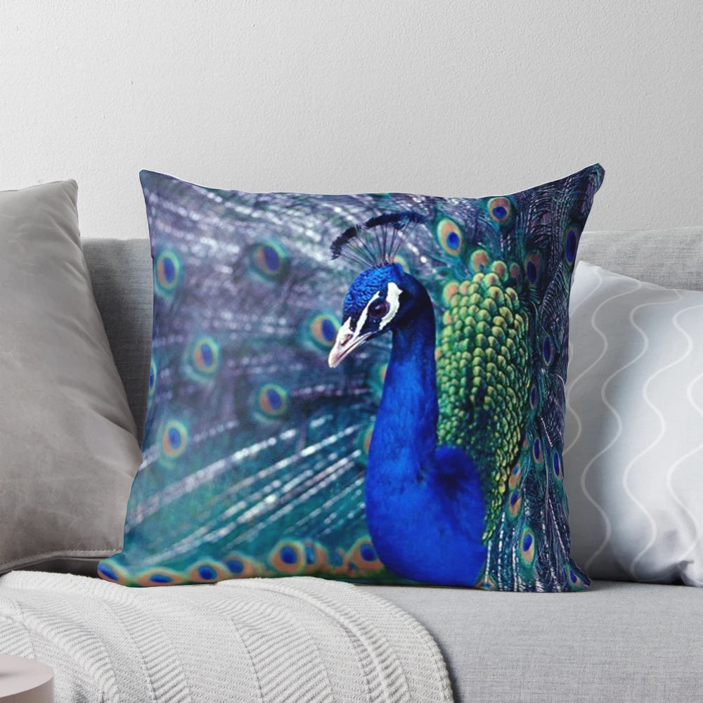 Striking blue peacock feather decorative throw pillow for cozy living spaces