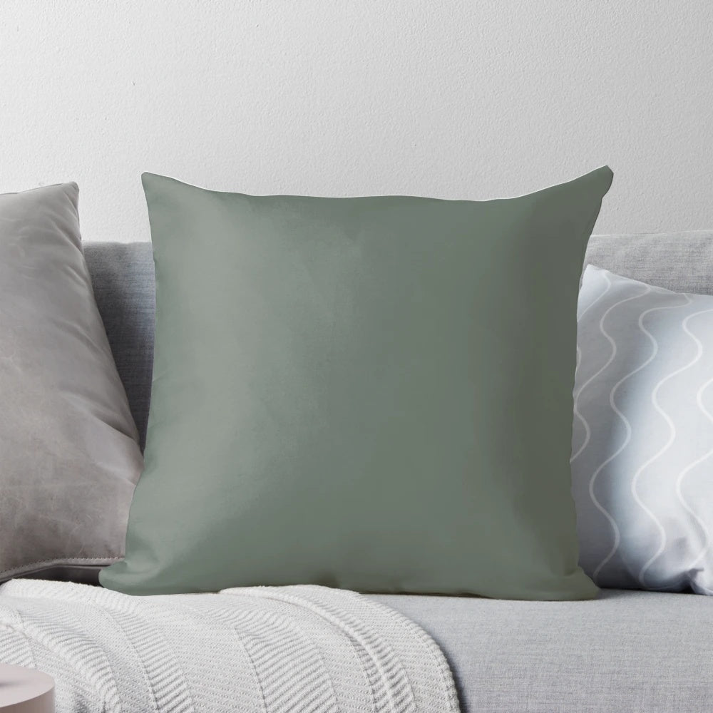 Green Smoke Accent Pillow for Home Decor