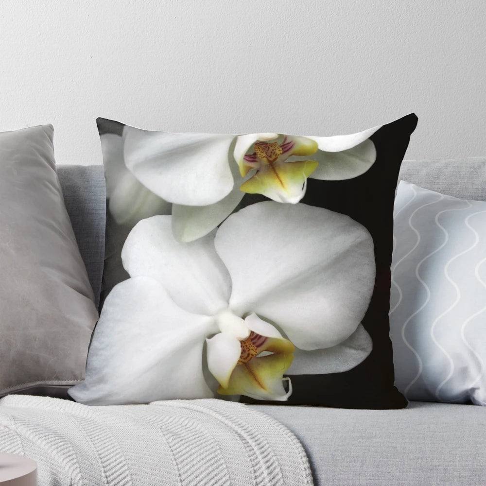 Close-up image of a beautiful white orchid flower on a decorative pillow