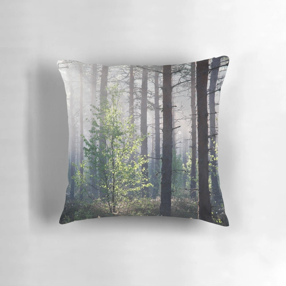 A serene image of a young birch tree surrounded by pine trees and mist, capturing the essence of a Finnish summer morning.