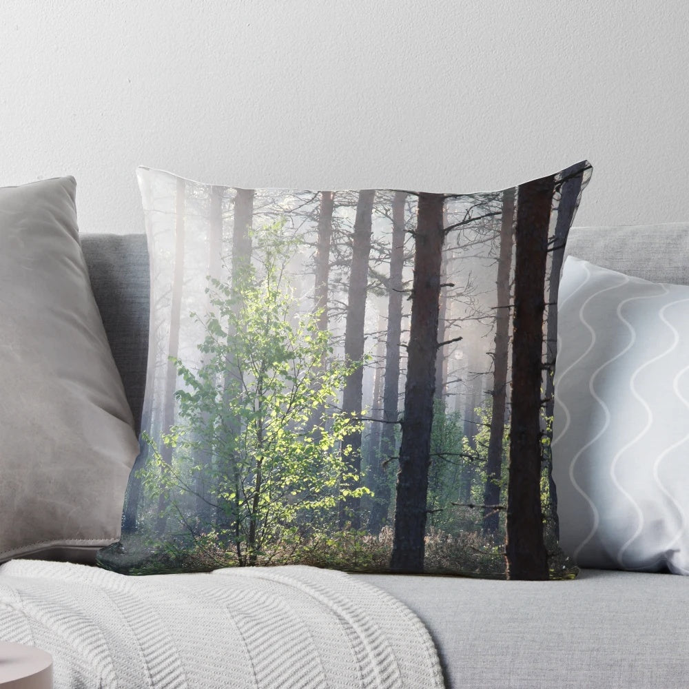 A serene image of a young birch tree surrounded by pine trees and mist, capturing the essence of a Finnish summer morning.