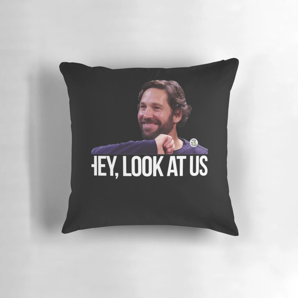 A plush pillow featuring the iconic image of actor Paul Rudd