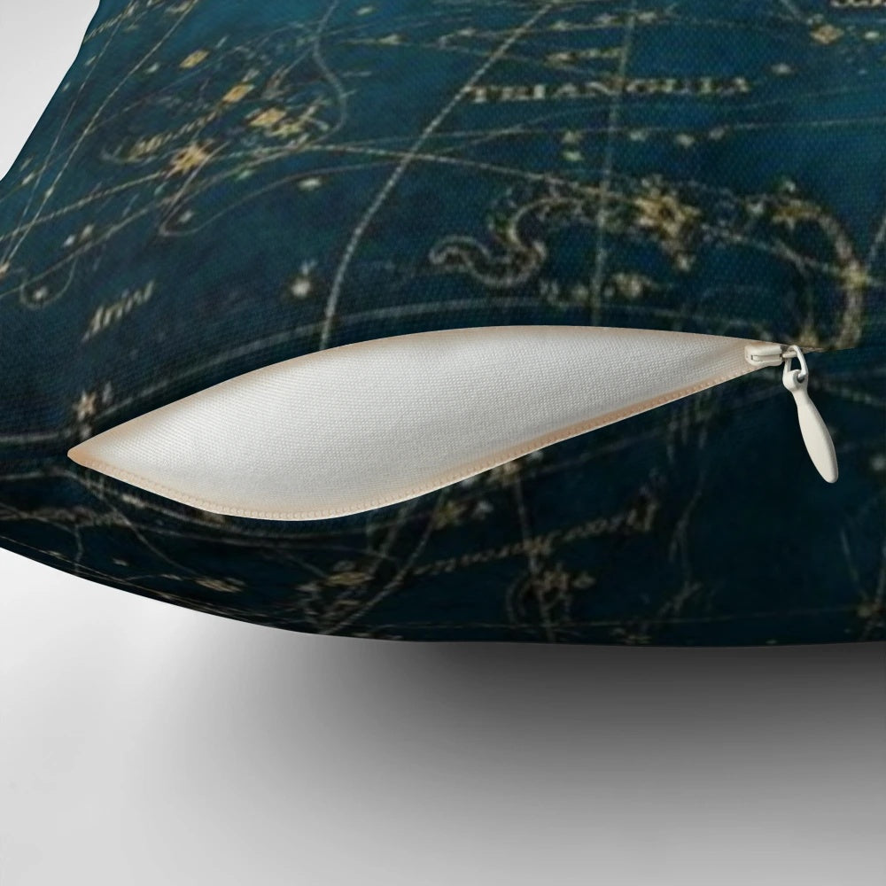 Decorative pillow with fantasy book series inspired design