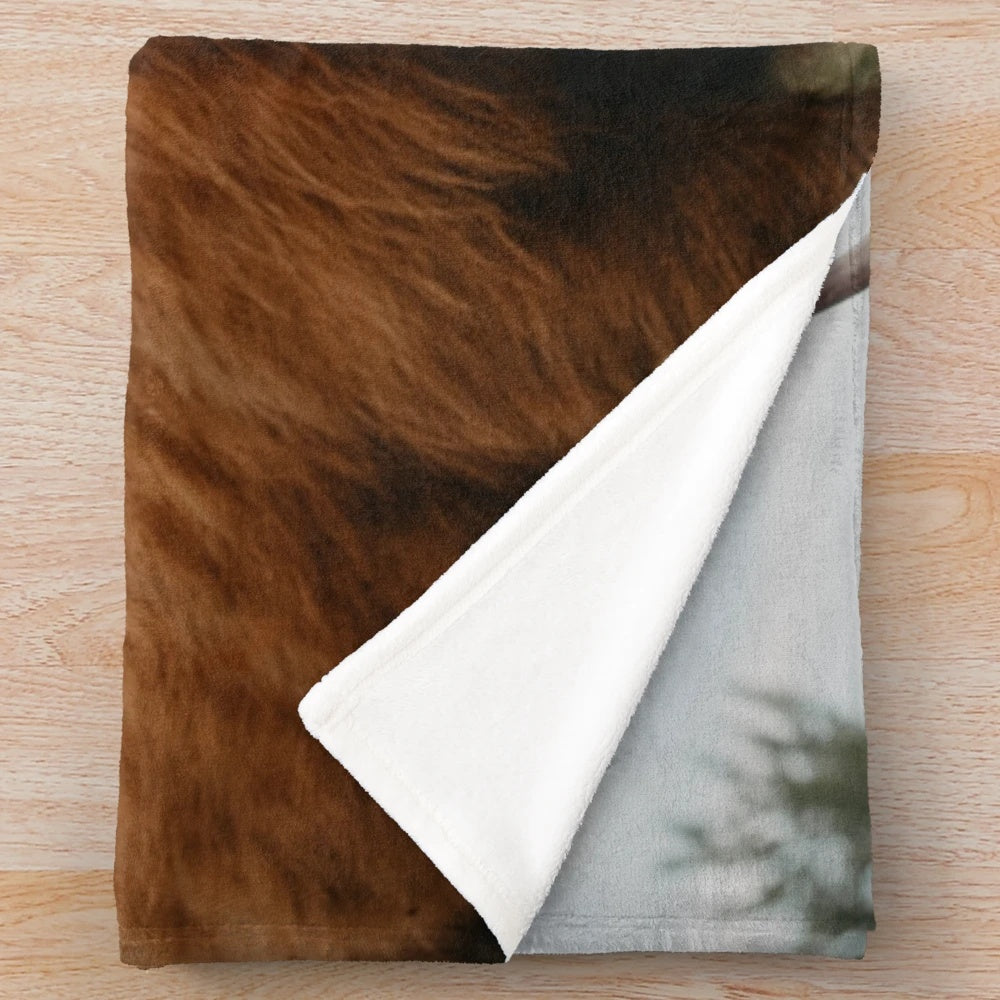 Curious highland cow plush blanket for cozy home decor