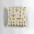 Entomology Insect Studies Collection Pillow with Scientific Illustrations