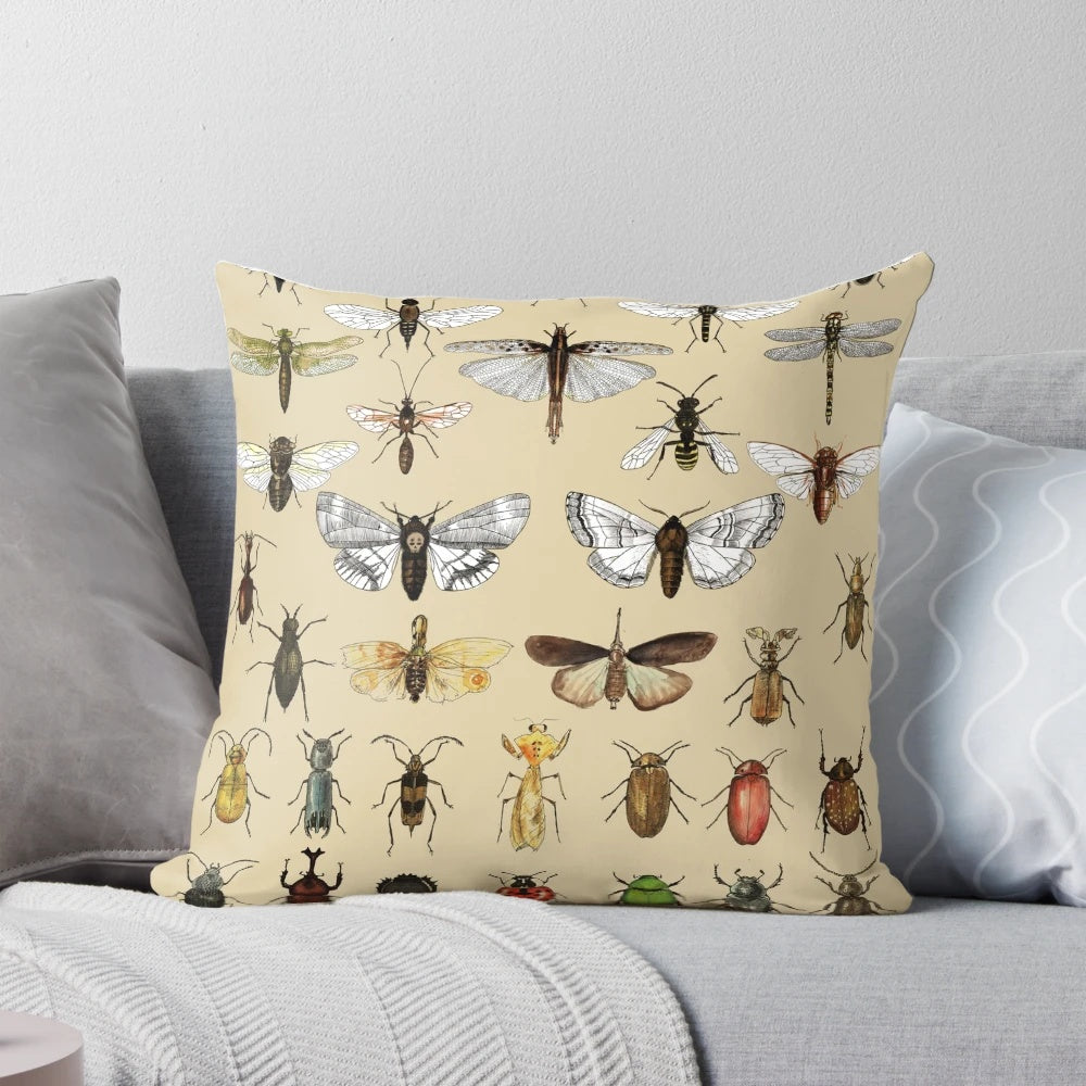 Entomology Insect Studies Collection Pillow with Scientific Illustrations