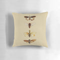 Decorative pillow featuring a detailed scientific illustration of an insect, perfect for entomology enthusiasts.