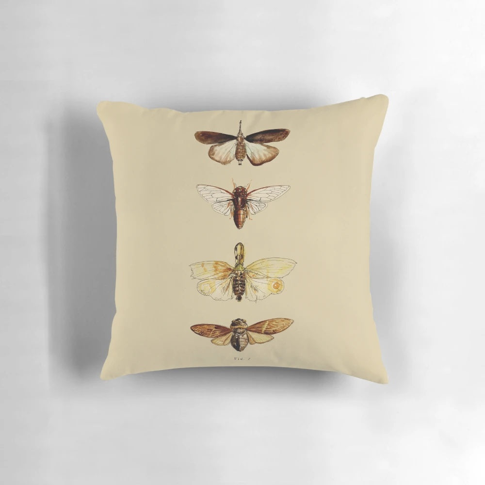 Decorative pillow featuring a detailed scientific illustration of an insect, perfect for entomology enthusiasts.