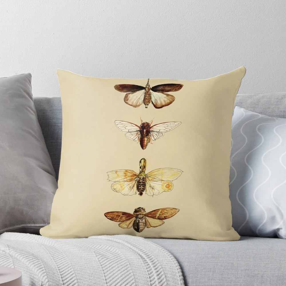 Decorative pillow featuring a detailed scientific illustration of an insect, perfect for entomology enthusiasts.