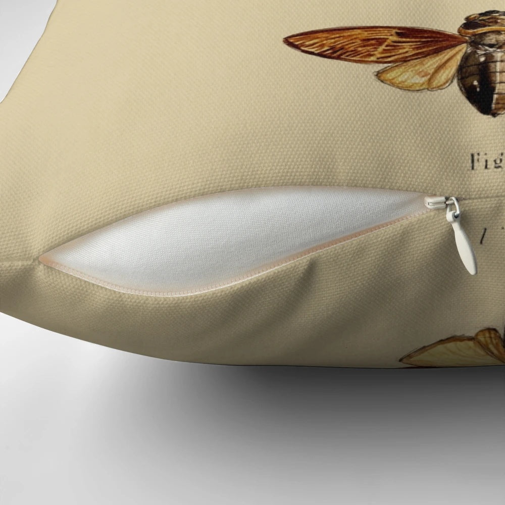Decorative pillow featuring a detailed scientific illustration of an insect, perfect for entomology enthusiasts.