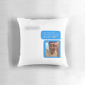 Eunkwang "Give Up" BTOB themed decorative pillow with text design