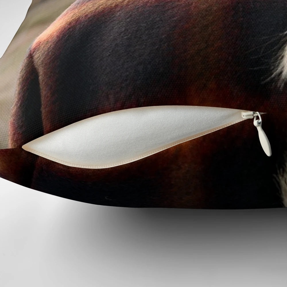 Evermore-inspired album cover design pillow featuring Taylor Swift's latest album