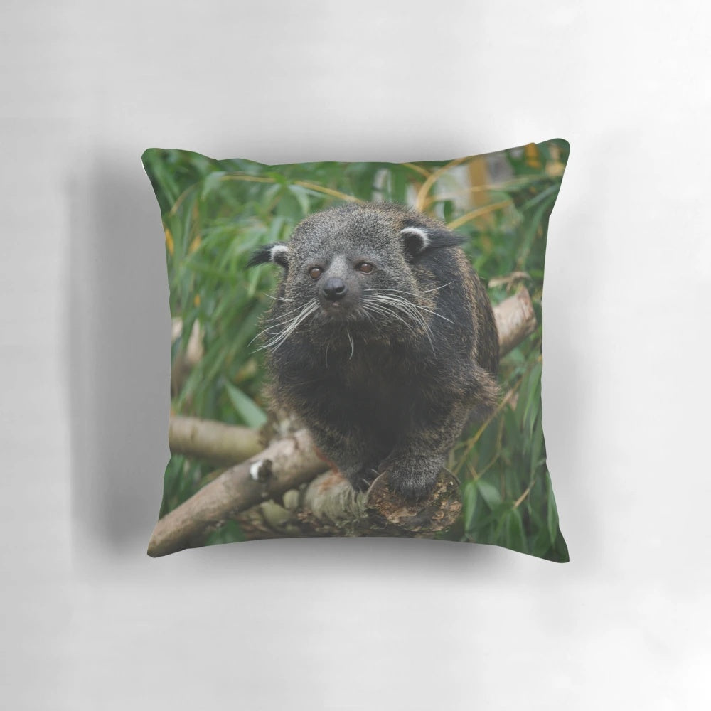 Soft, plush pillow featuring a photo of a binturong, also known as a bearcat, a rare and exotic animal with a unique popcorn scent.