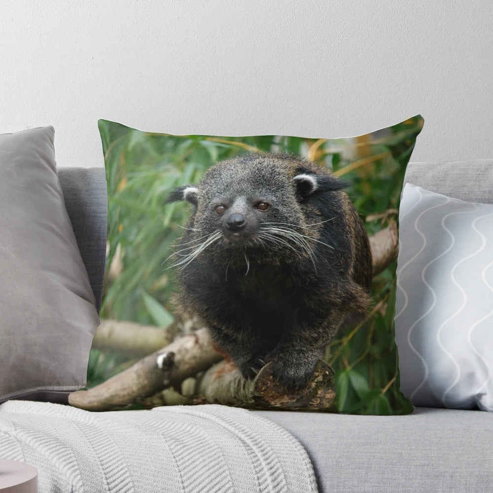 Soft, plush pillow featuring a photo of a binturong, also known as a bearcat, a rare and exotic animal with a unique popcorn scent.