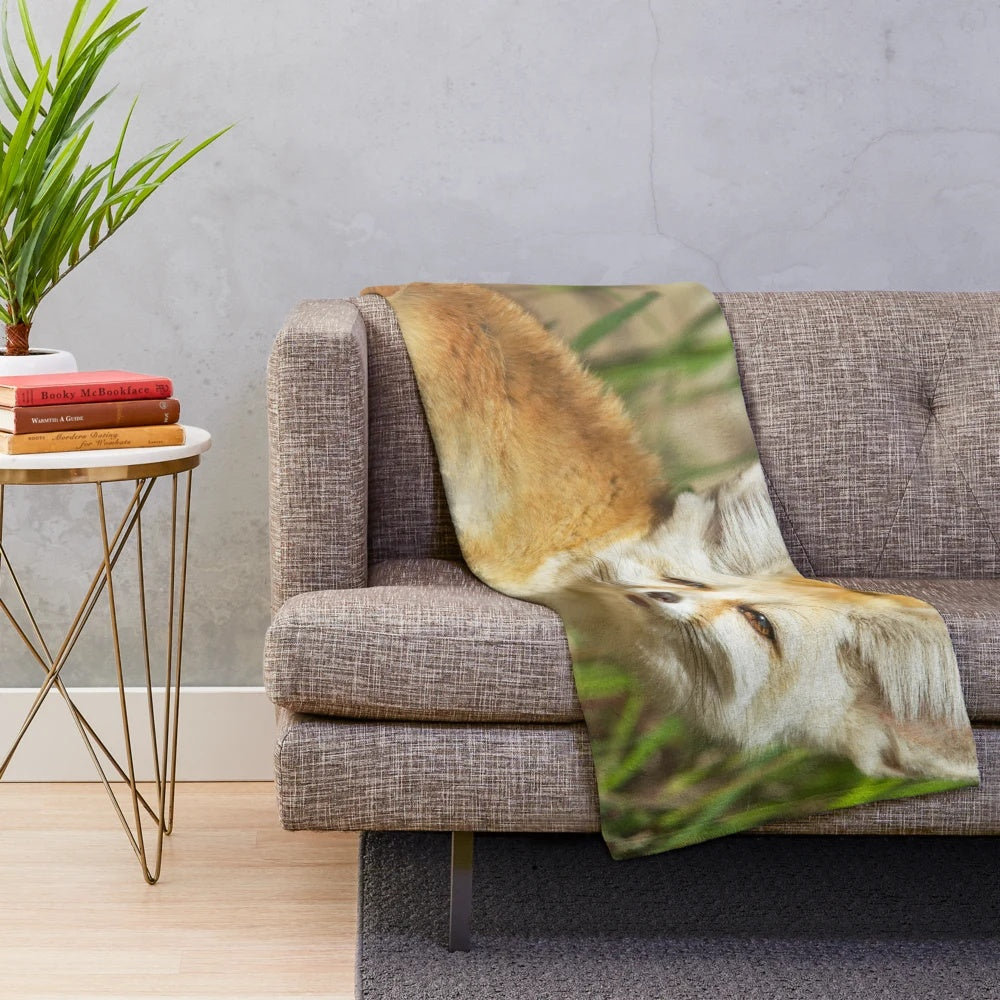 Soft and cuddly fennec fox plush blanket for home decor