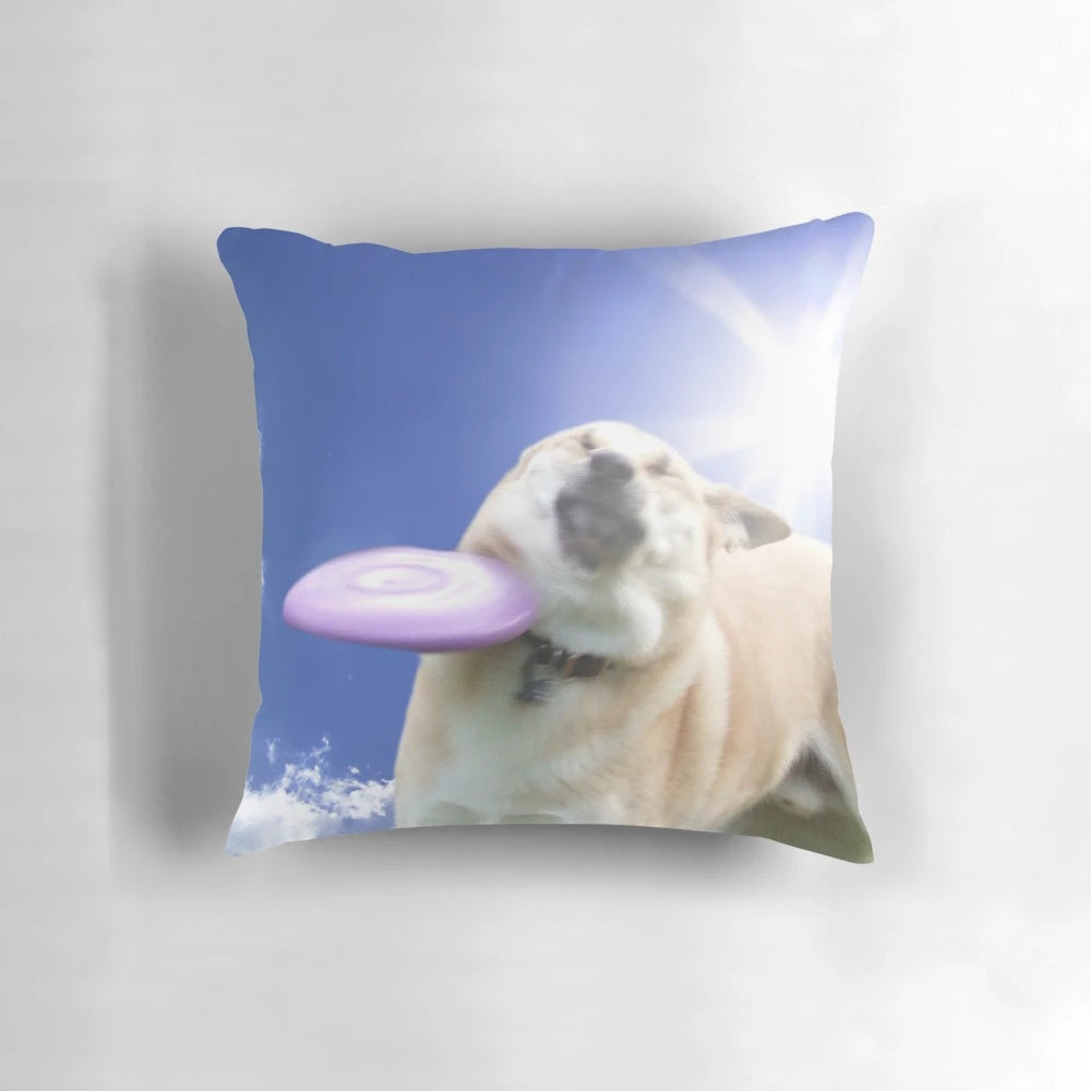 Frisbee dog doggo corgi pillow with playful dog design
