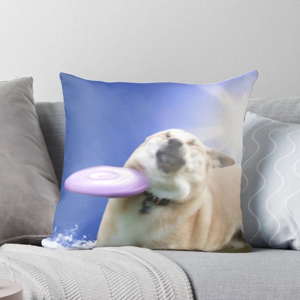 Frisbee dog doggo corgi pillow with playful dog design