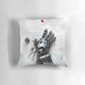 Fullmetal Alchemist: The Philosopher's Stone Anime Pillow featuring Edward and Alphonse Elric