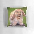 Photoshop pillow featuring a bunny with the face of actor Nicolas Cage