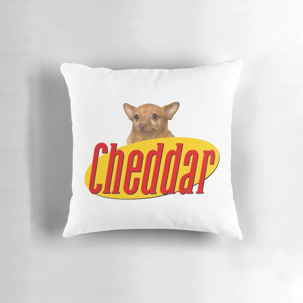 Cheddar Show themed decorative throw pillow with a whimsical and humorous design