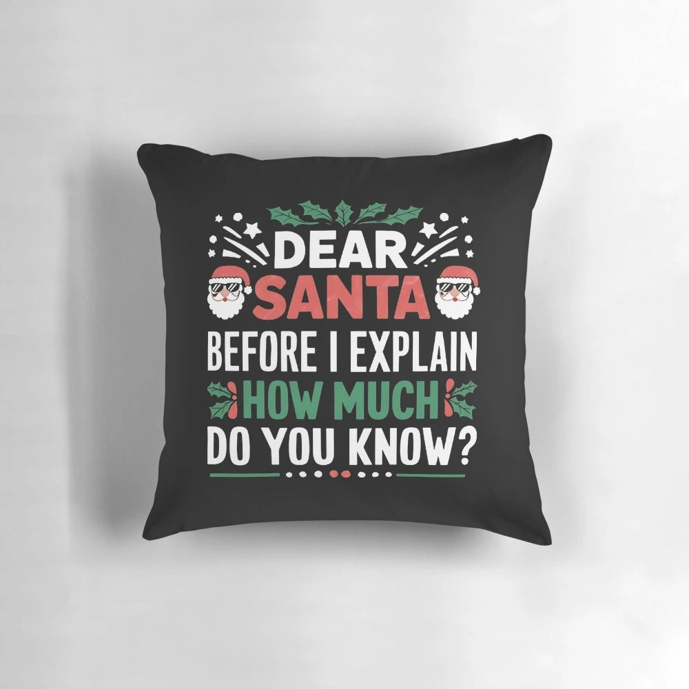 Funny Christmas pillow with the text "Dear Santa, Before I Explain - How Much Do You Know?