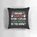 Funny Christmas pillow with the text "Dear Santa, Before I Explain - How Much Do You Know?
