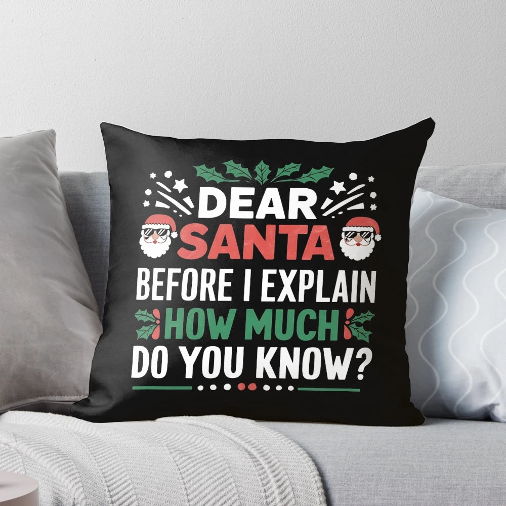 Funny Christmas pillow with the text "Dear Santa, Before I Explain - How Much Do You Know?