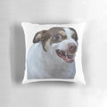 Plush Mr Bubz Chihuahua Pillow featuring the popular scary dog meme