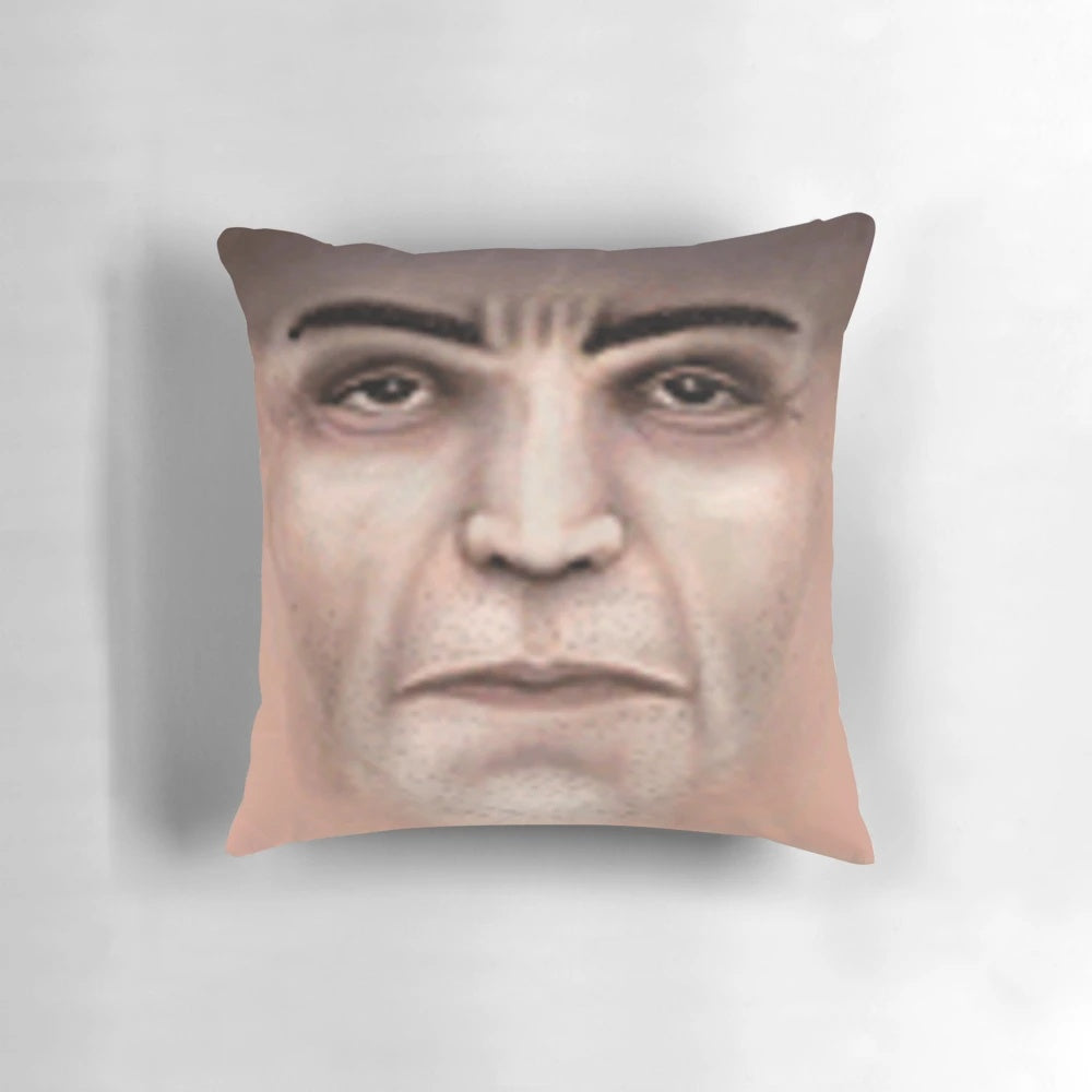 Funny passport-themed pillow with references to Half Life VR AI and characters like Benrey and Barney