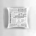 Decorative pillow showcasing witty quotes from the character Schmidt on the TV show New Girl