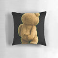 Soft, plush teddy bear pillow with a humorous design of the character "Ted" scratching his backside.