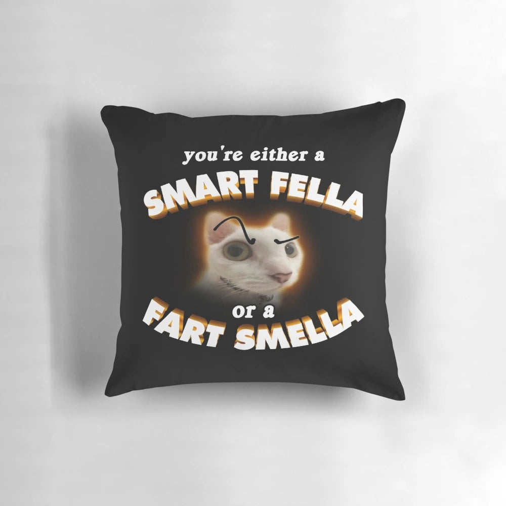 Humorous "You're a Smart Fella or a Fart Smella" throw pillow with a snazzy seagull design